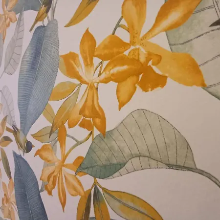 公寓 Sf - Luminoso, Amplio Y Recien Reformado En El Casco Historico 奥伦塞